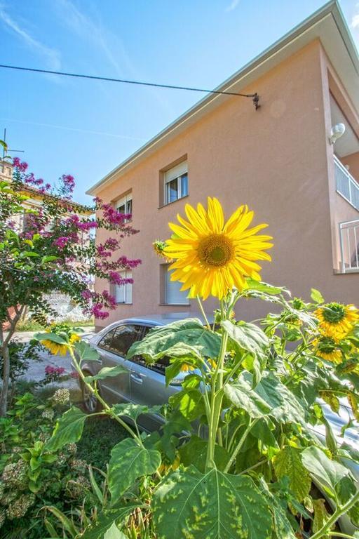 Apartman Nena Crikvenica Exterior photo